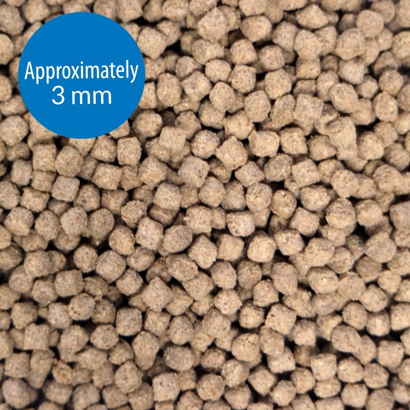 Premium API Bottom Feeder Pellets with Squid - High Protein Fish Food for Catfish, Loaches & Bottom Dwellers - Ideal for Freshwater Aquariums & Fish Tanks