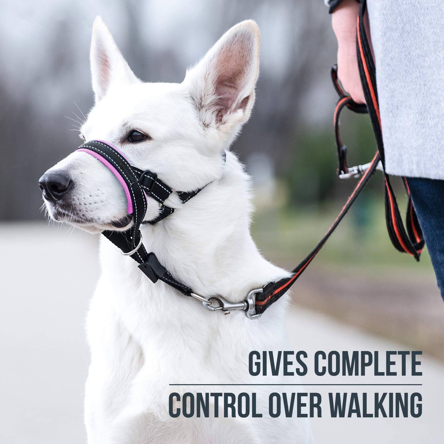 GoodBoy No-Pull Dog Head Halter with Safety Strap - Stop Leash Pulling for Small, Medium & Large Dogs - Padded Comfort Head Collar with Training Guide - Perfect for Walks, Training & Aggressive Pullers (Size 4, Pink)