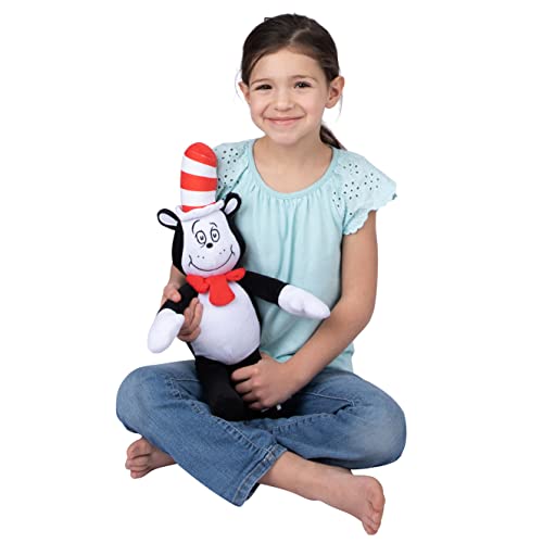 Dr Seuss Cat in the Hat