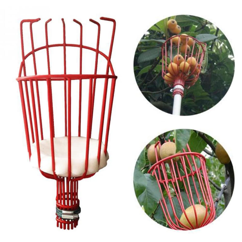 Stainless Steel Telescopic Fruit Picker with 4.3m Handle - Apple Picker, Cherry Harvester for Garden, Orchard & Outdoor Use - Perfect for Harvesting Pears, Apples & Hard-to-Reach Fruits