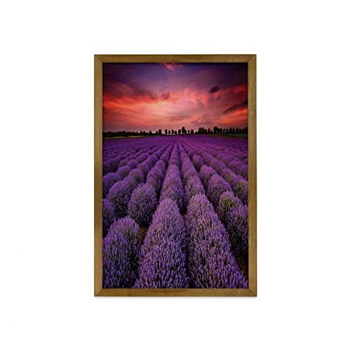 Coral and Purple