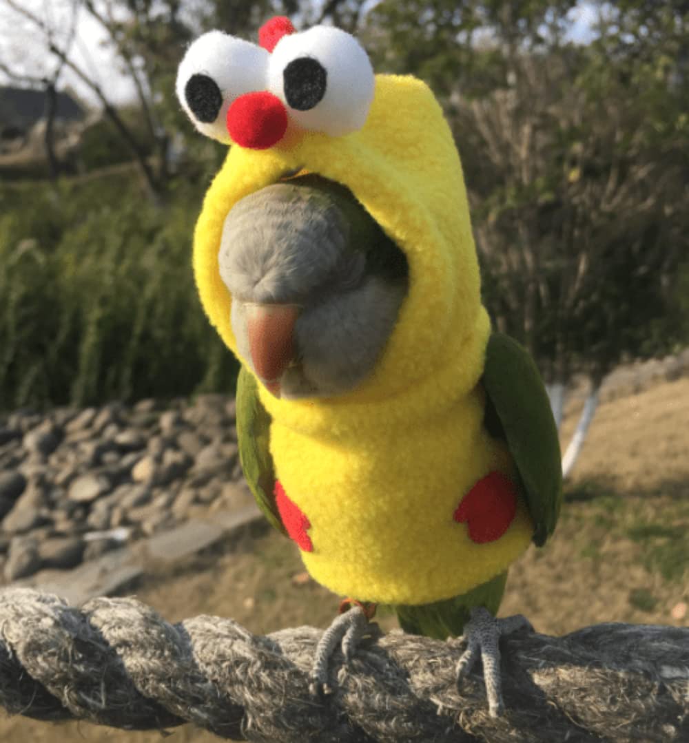 Bird Diaper Flight Suit - Chicken Shaped Bird Costume for Parrots, Lovebirds, Parakeets & Cockatiels | Small Animal Apparel & Cosplay Photo Prop (Green-cheeked Conure) - Perfect for Pet Parties, Halloween & Photo Shoots