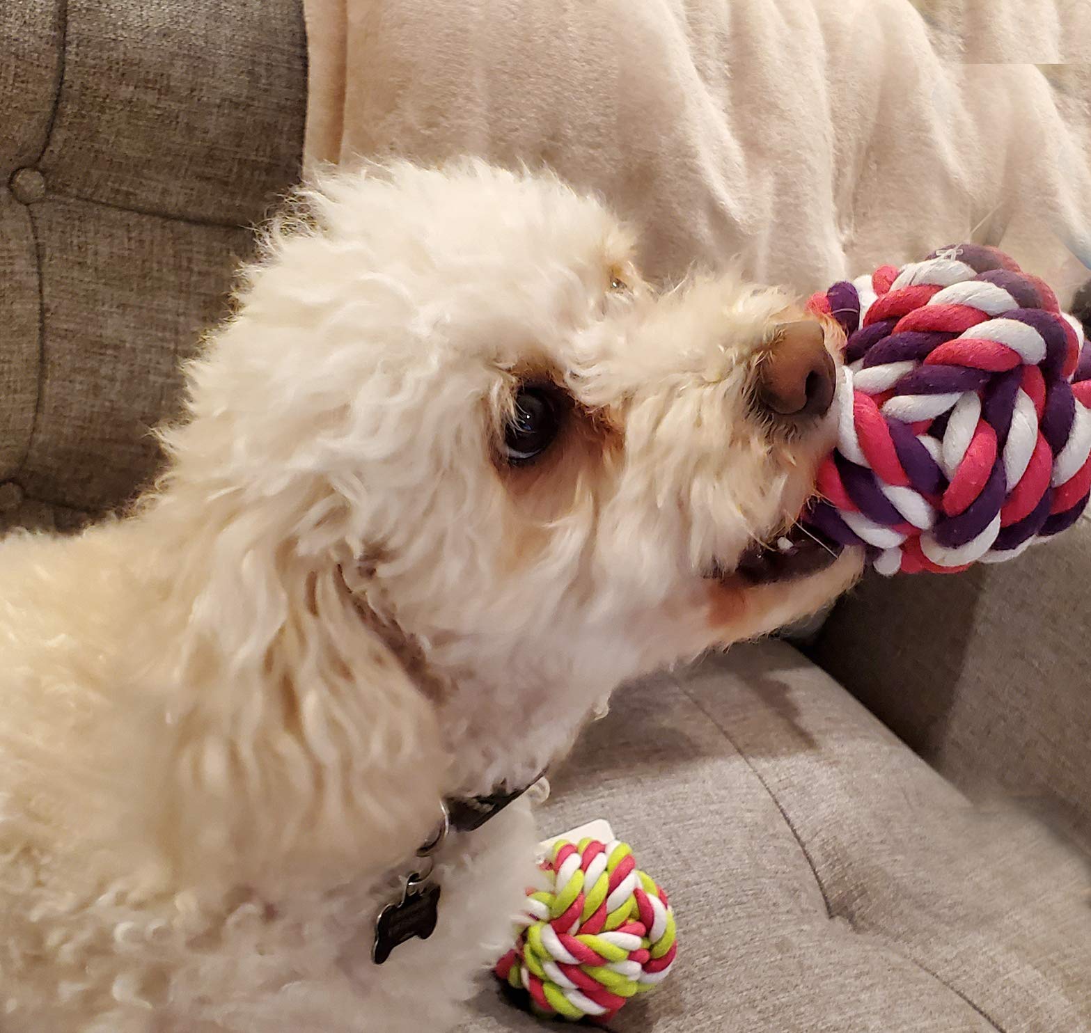Zelica Twisted Knot Rope Dog Toy Ball - Durable Chew Toy for Aggressive Chewers, Interactive Play & Teeth Cleaning - 4 Pack for Medium & Large Dogs - Perfect for Fetch, Tug of War & Outdoor Exercise