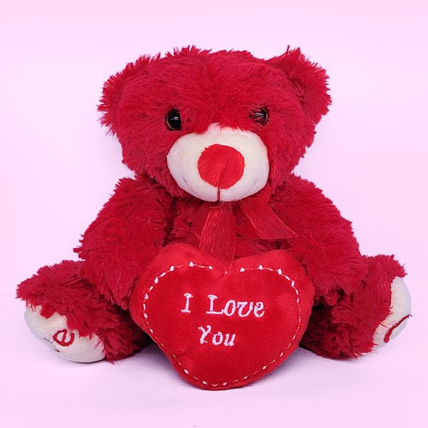 Adorable 10 Inch Plush Teddy Bear with 'I Love You' Heart Pillow - Perfect for Valentine's Day Gifts, Birthday Presents & Nursery Decor