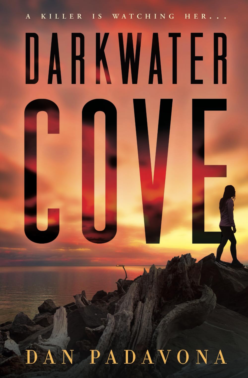 Darkwater Cove: A Gripping Serial Killer Thriller Novel - Suspenseful Crime Fiction for Adults | Perfect for Late-Night Reading & Mystery Book Clubs