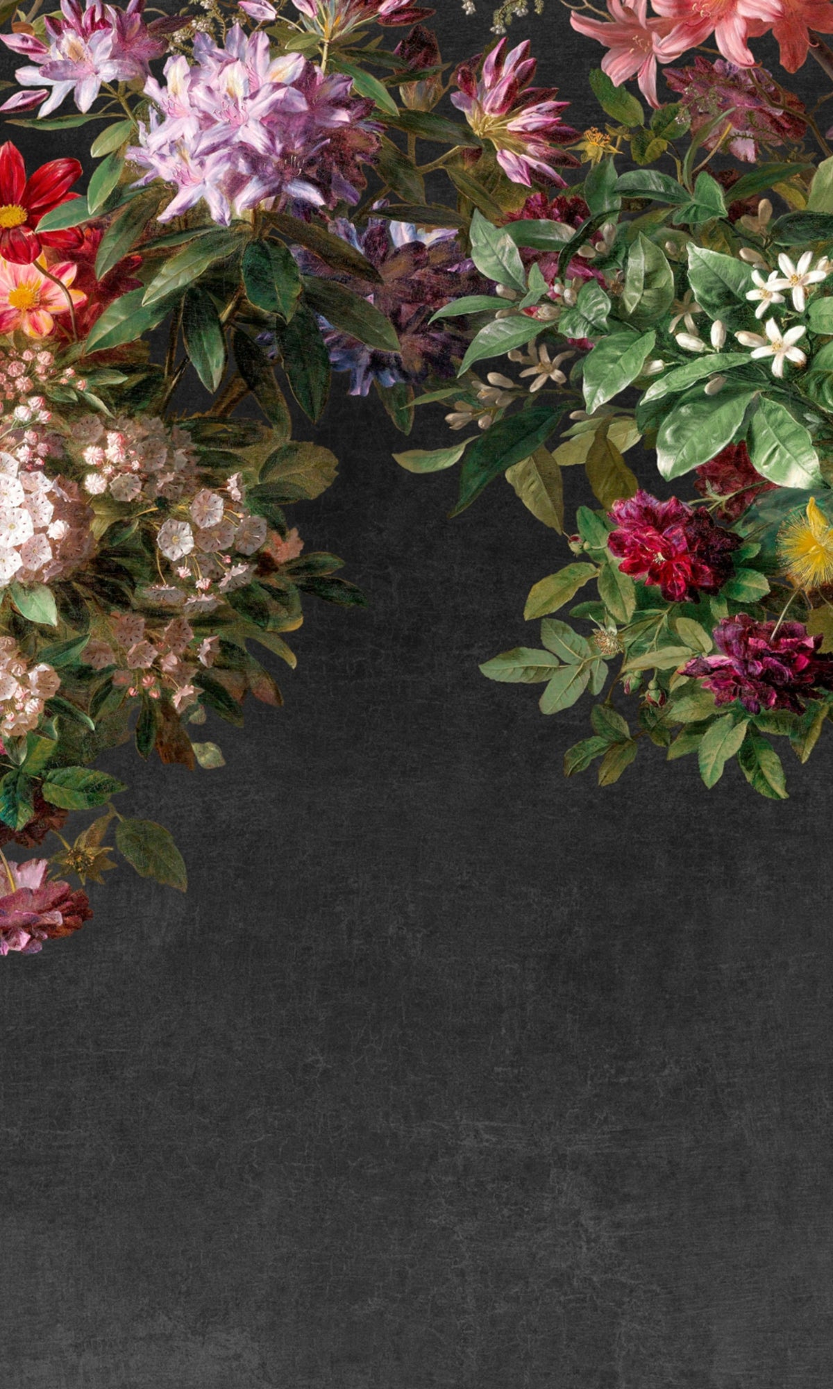 Black Hanging Floral Blossoms Wallpaper RM2084 - Elegant Botanical Peel and Stick Wallpaper for Bedroom, Living Room & Home Decor