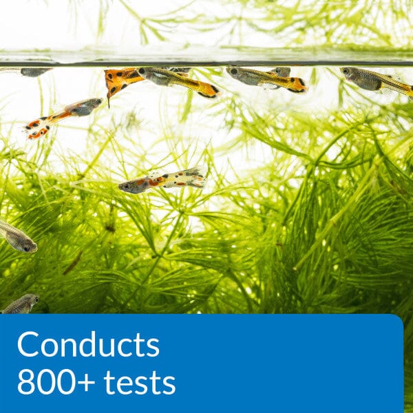API Freshwater Master Test Kit for Aquariums - Accurate Water Testing for pH, Ammonia, Nitrite & Nitrate Levels - Essential for Healthy Fish & Plants in Home Aquariums