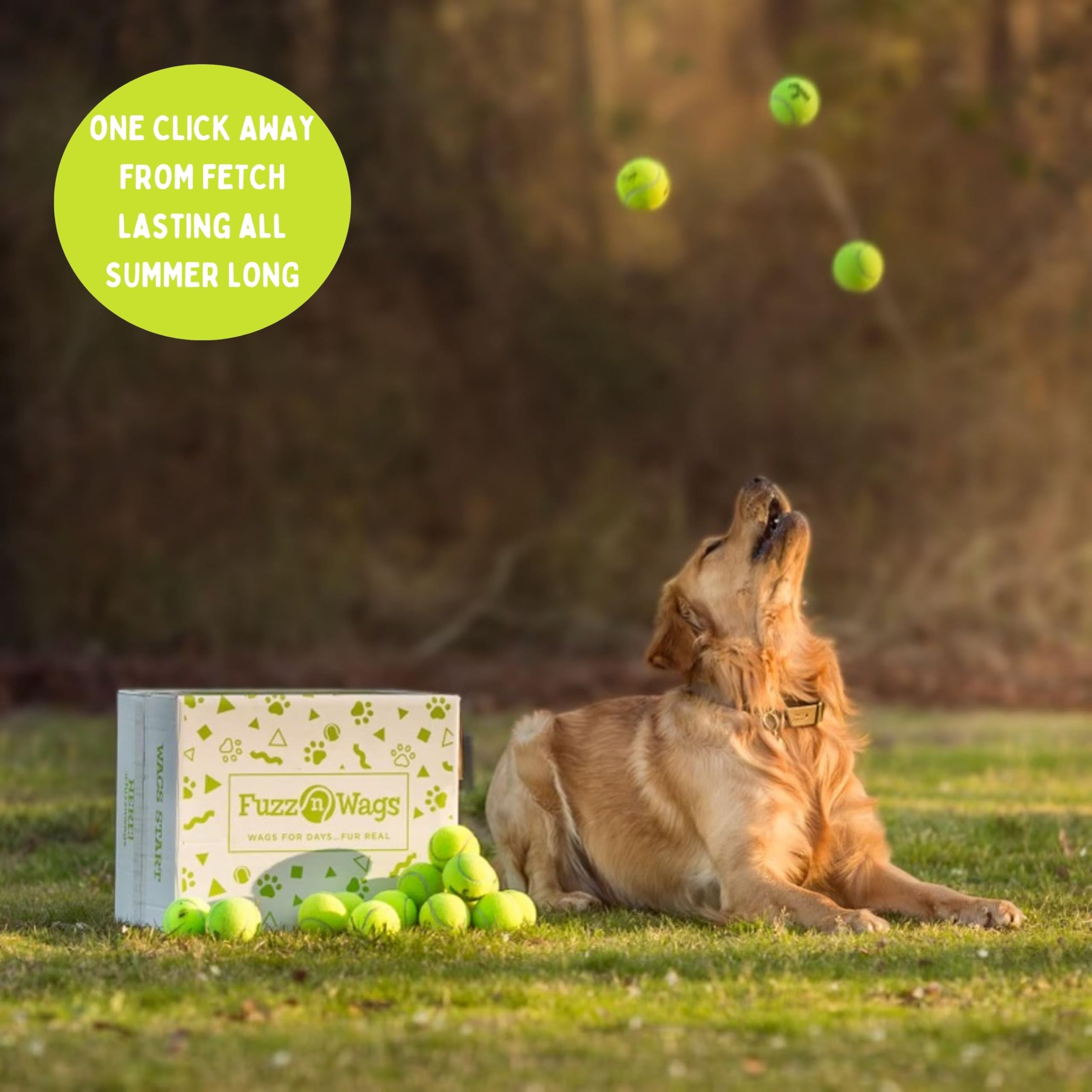 **100 Used Tennis Balls for Dogs - Bulk Recycled Dog Tennis Balls | Supports USA Tennis Ball Recycling NonProfit | Perfect for Fetch, Training & Playtime**