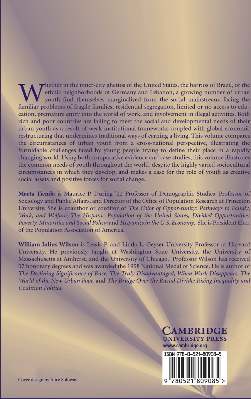 Youth in Cities: A Cross-National Perspective - Adolescent Development & Urban Studies Book for Sociology Research | The Jacobs Foundation Series on Adolescence | Perfect for Academics, Social Workers & Policy Makers