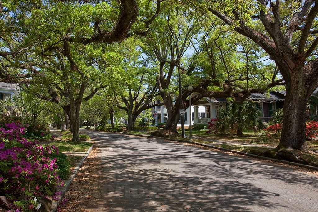 Vintage Oakleigh Neighborhood Mobile Alabama Fine Art Photo Print - 24x16 Inch Historic Wall Decor for Home & Office