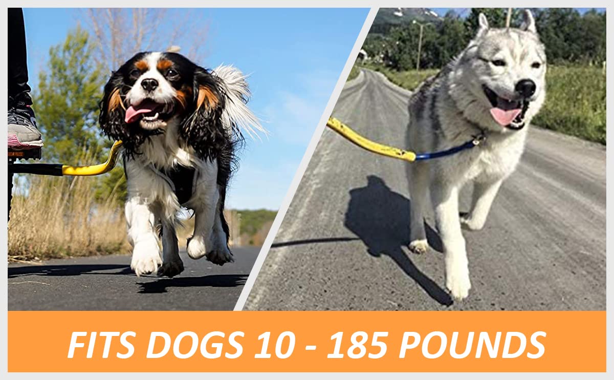 Best Dog Bike Leash - Adjustable Safety Tow Leash for Cycling with Pets (Orange) - Perfect for Outdoor Adventures, Jogging & Biking with Your Dog