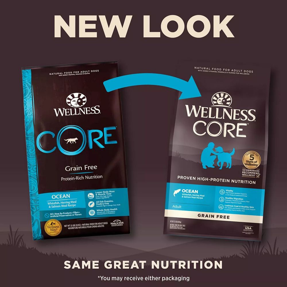 Premium CORE Ocean Adult Dog Dry Food - High Protein Grain-Free Salmon Recipe for Healthy Skin & Coat - Ideal for Active Dogs & Sensitive Stomachs - Perfect for Daily Feeding & Outdoor Adventures