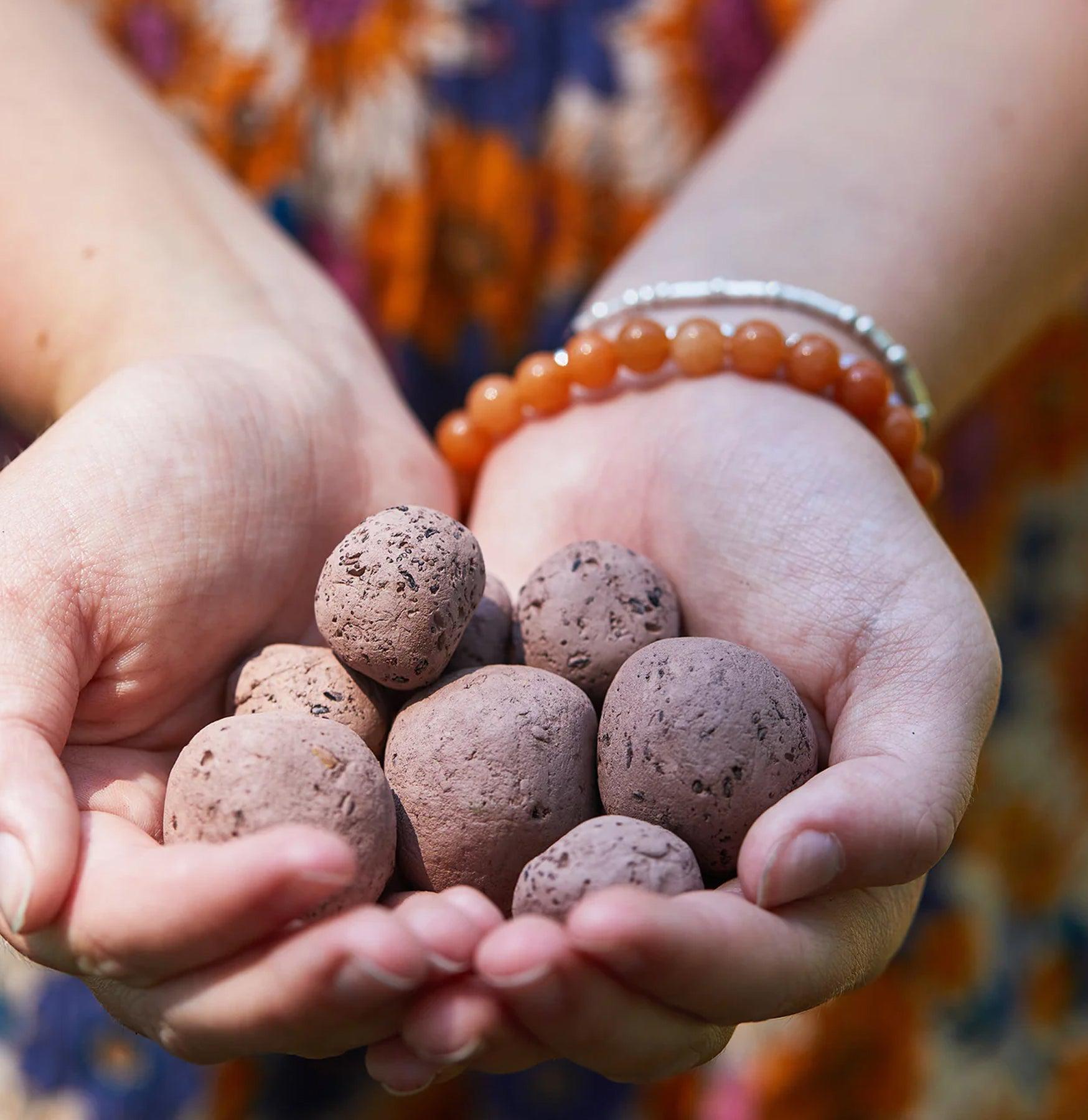 Bright Side Seed Balls - Wildflower Seed Mix for Pollinator Gardens, DIY Planting Kits for Kids & Adults - Perfect for Backyard, Balcony & Eco-Friendly Gifting