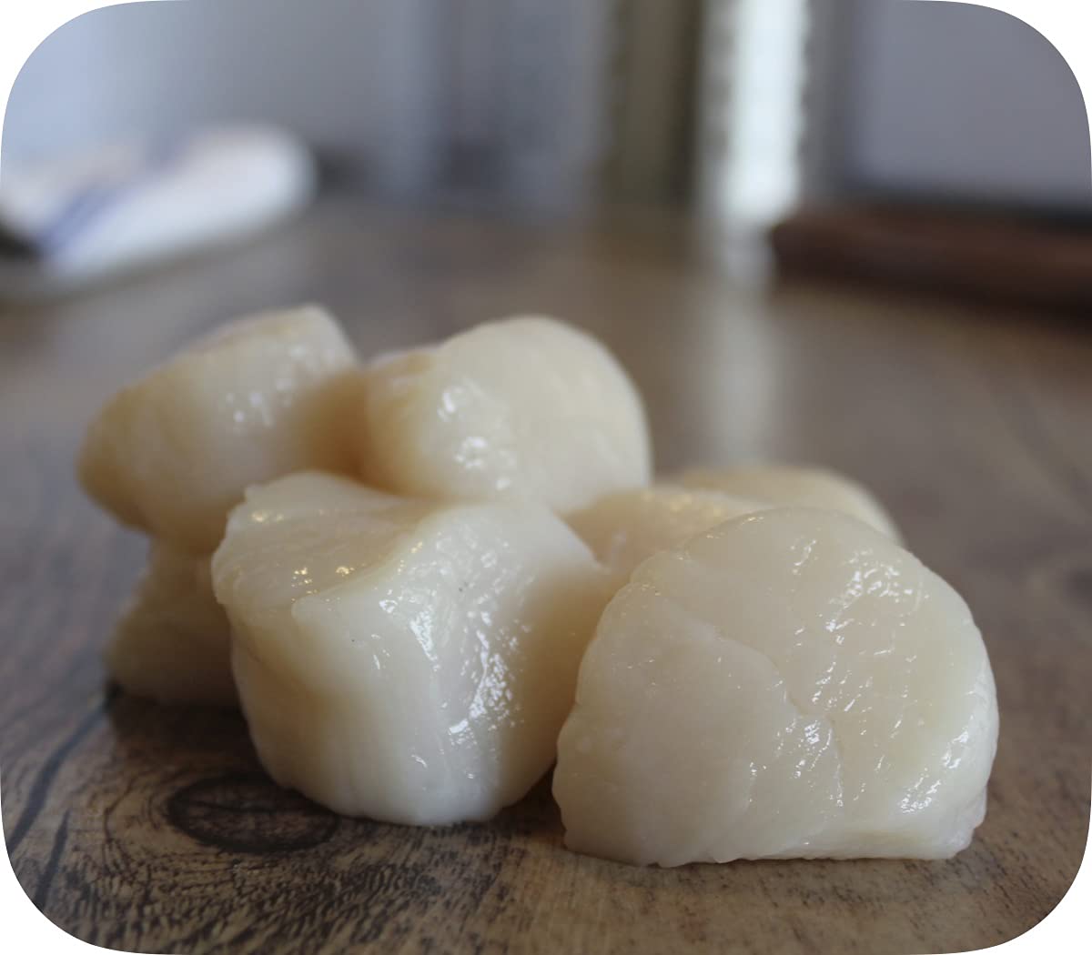 Premium Wild-Caught Frozen Cape Cod Sea Scallops - 1 lb Pack (10 Scallops per Case) | Perfect for Gourmet Cooking, Seafood Pasta & Fine Dining at Home