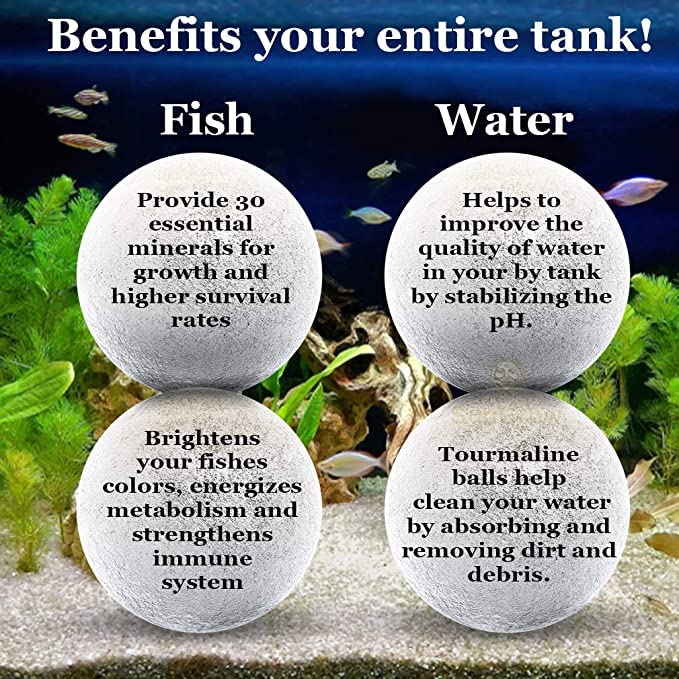 SunGrow Calcium-Rich Energy Balls for Aquariums - Betta Fish Breeding Support, Tank Cleaning Aid & Fish Activity Booster | Enhance Water Quality & Promote Healthy Fish Breeding in Freshwater Tanks