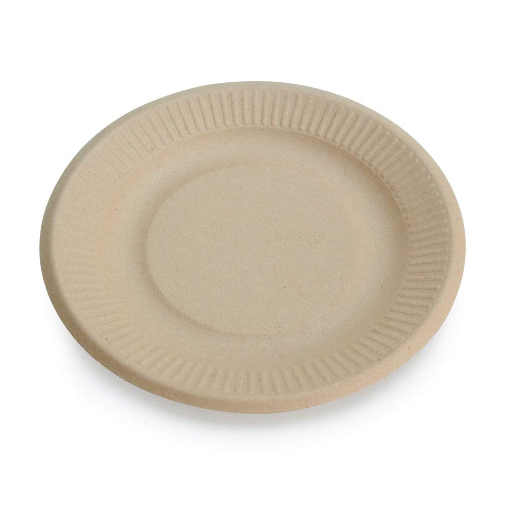 100% Compostable Bamboo Paper Plates 6 Inch - 20 Pack | Eco-Friendly Biodegradable Disposable Plates for Desserts, Parties & Picnics | Heavy-Duty Unbleached Small Plates by Earth's Natural Alternative | Perfect for Birthday, Wedding, BBQ & Outdoor Events