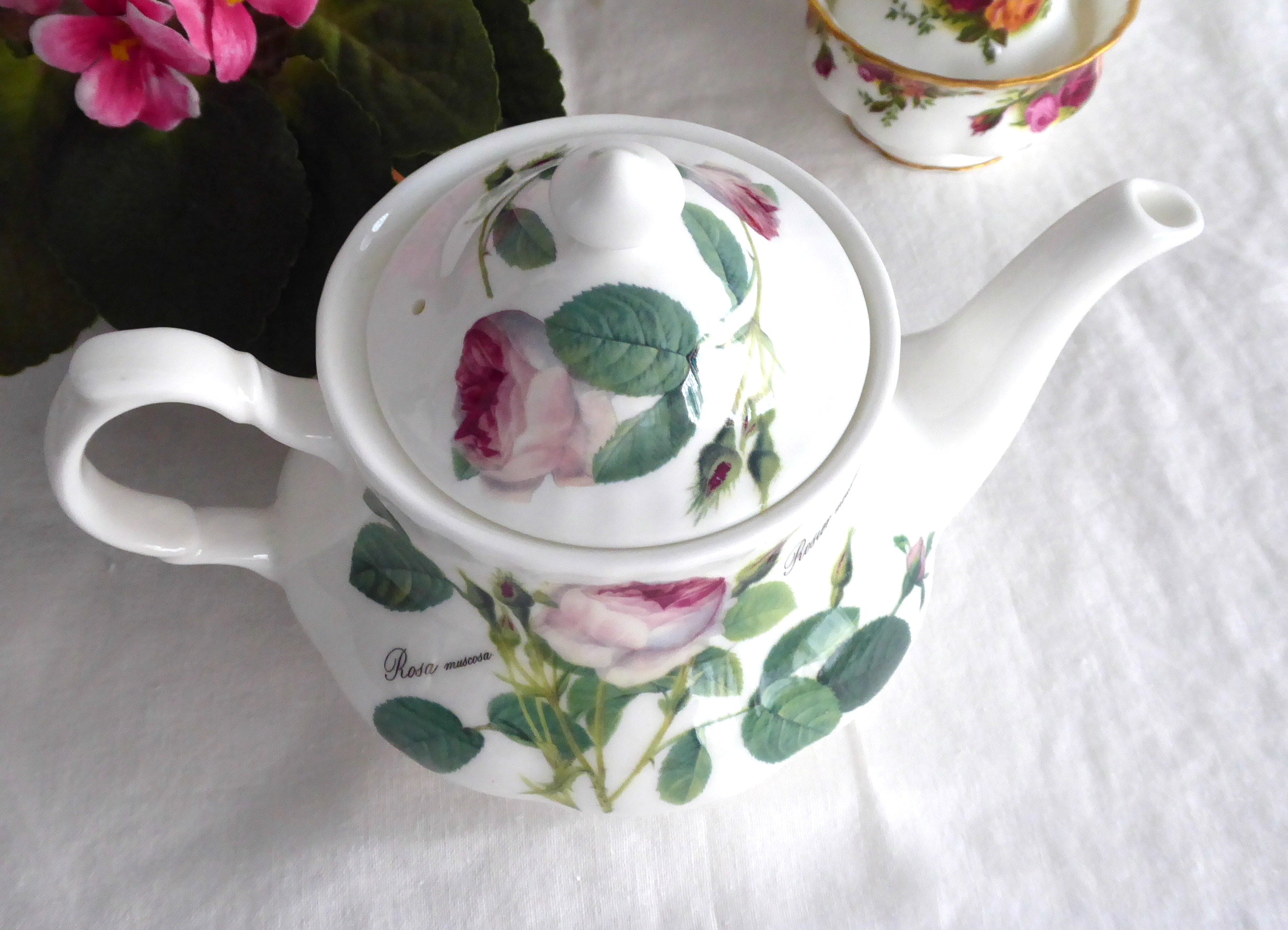 Pink Redoute Rose Teapot by Roy Kirkham - 6 Cup (40 oz) Floral Botanical Teapot for Afternoon Tea & English Garden Parties