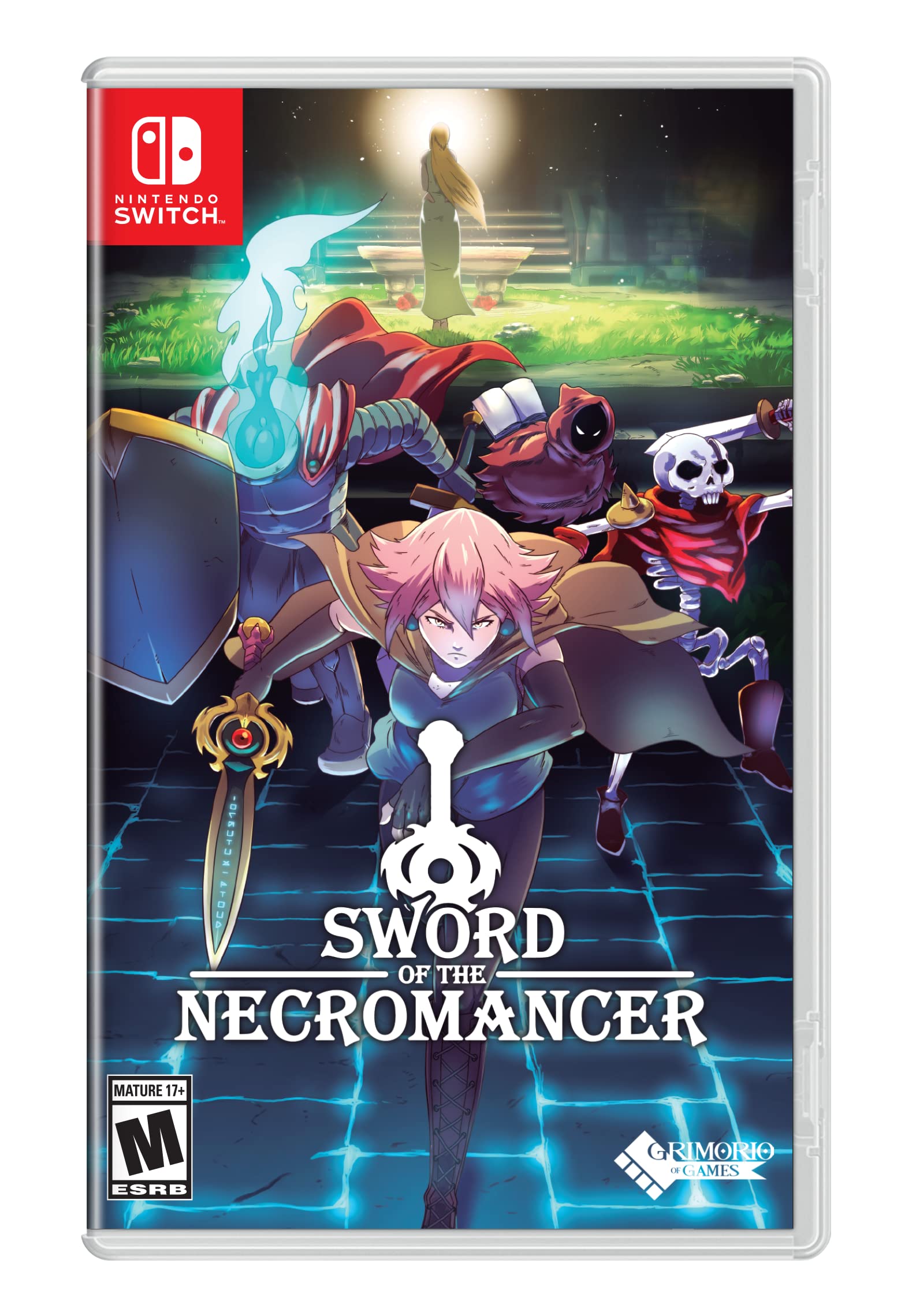 Sword of the Necromancer - Action RPG Game for Nintendo Switch | Dark Fantasy Adventure & Dungeon Crawler | Perfect for Horror & Fantasy Gamers