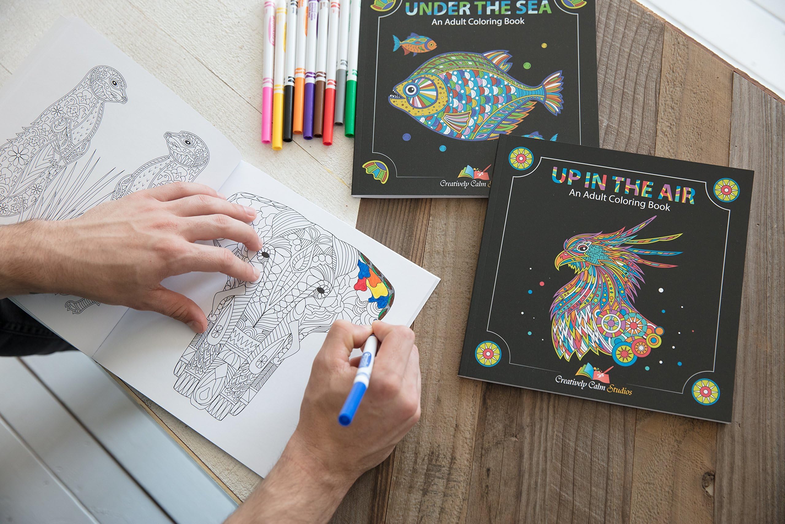 Premium Adult Coloring Book Set - 3 Pack with Sky, Land & Sea Nature Designs for Stress Relief & Relaxation | Perfect for Meditation, Art Therapy & Creative Mindfulness Activities