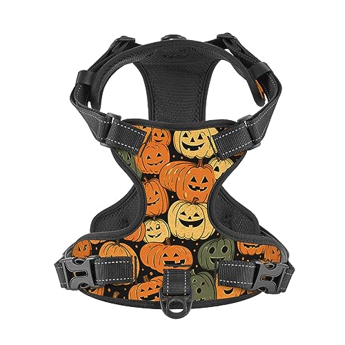 Halloween Pumpkin Fall