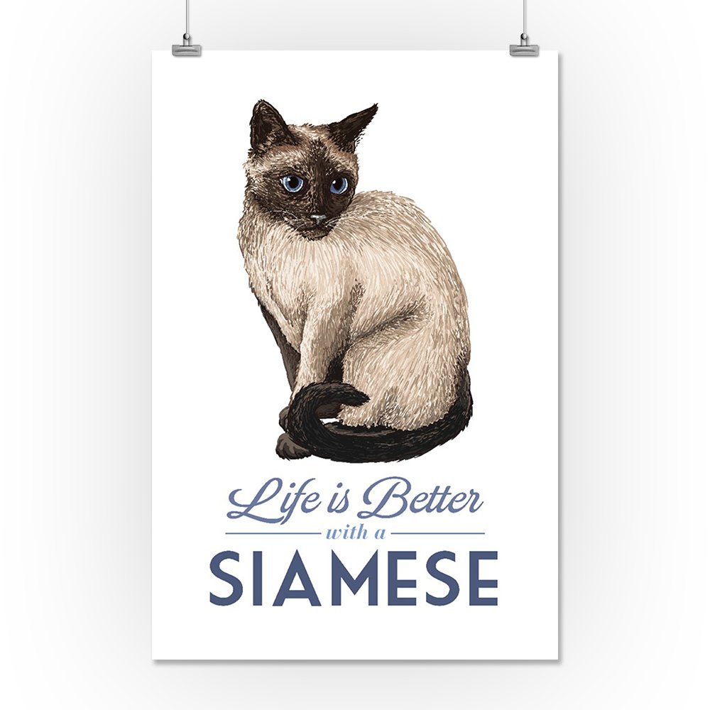 Siamese Cat Art Print - Life is Better Giclee Gallery Wall Decor (16x24) - Perfect for Home, Office & Travel Poster Collection