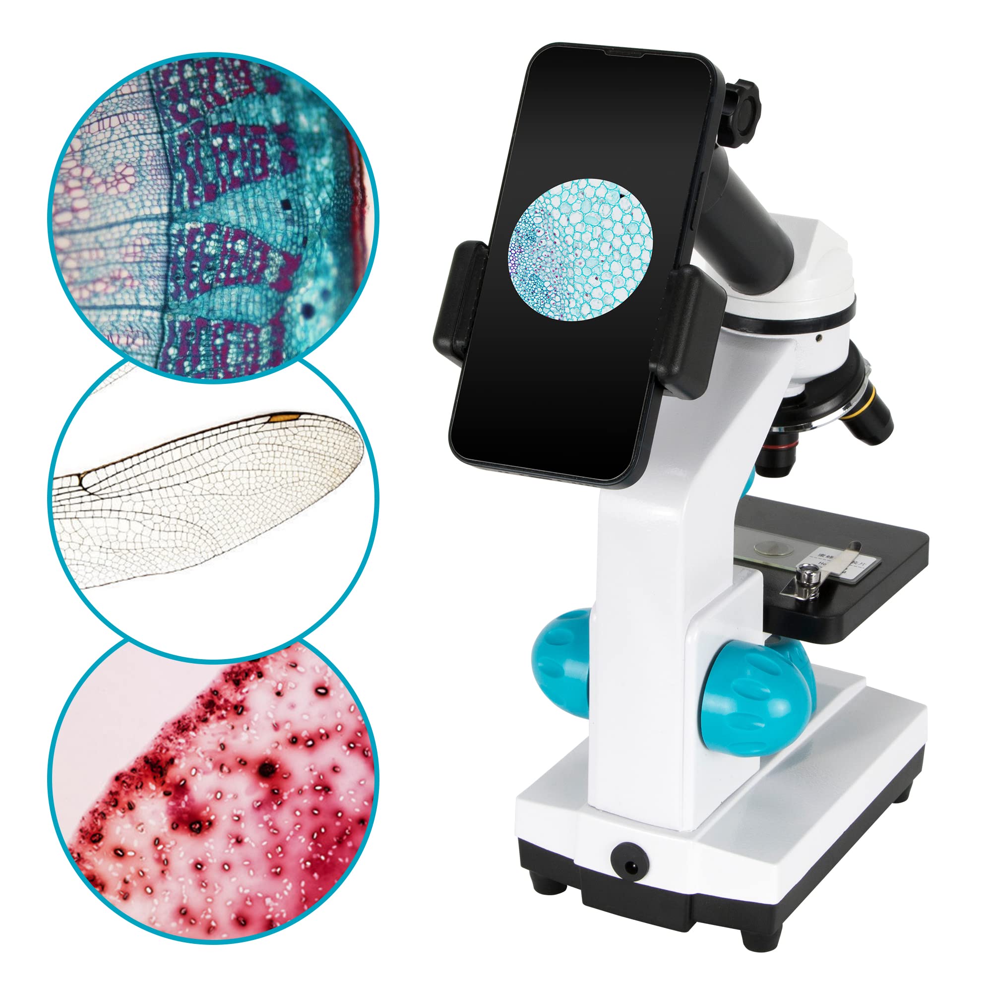 HSL 40X-2000X Compound Monocular Microscope with Dual LED Illumination & Phone Adapter - Professional Microscopes for Adults, Students & Beginners | Ideal for Biology Lab, Classroom Education & Home Science Experiments