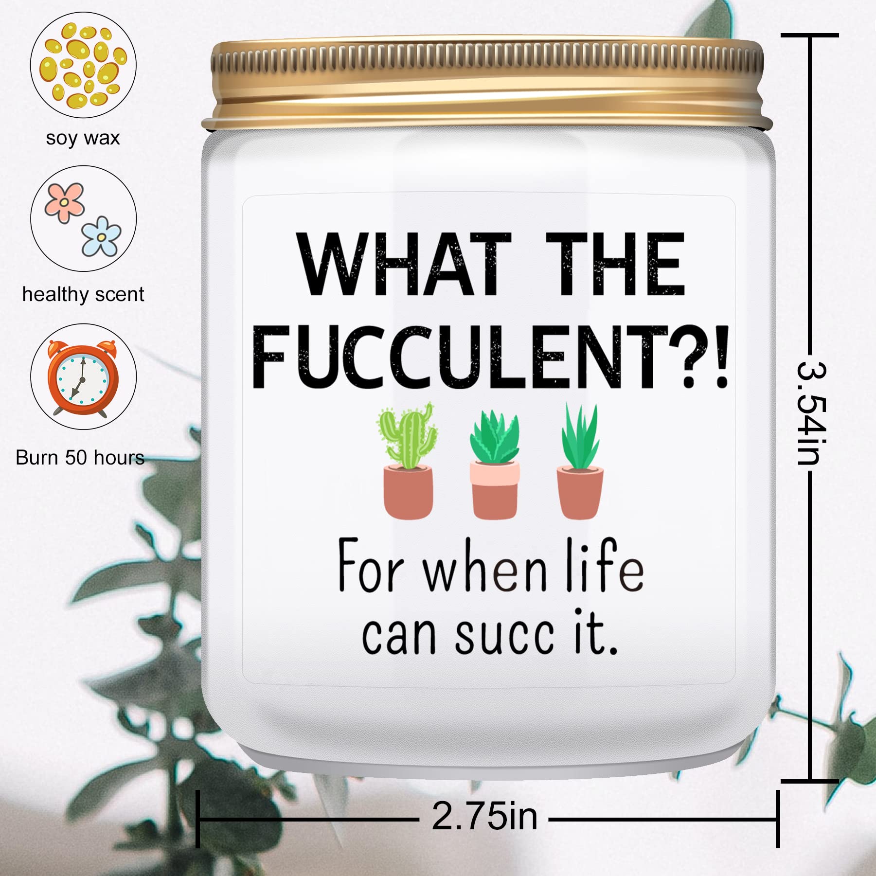 Funny & Unique Gifts for Women - Cactus Succulents & Lemongrass Sage Candles (7oz) - Perfect Birthday, Christmas, Friendship Presents for BFF, Sister, Female Coworker, or Men - Ideal for Home Decor, Relaxation, and Thoughtful Gestures