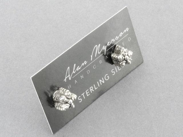 Sterling Silver Cactus Stud Earrings for Women - Trendy Boho Jewelry for Everyday Wear & Gift Giving