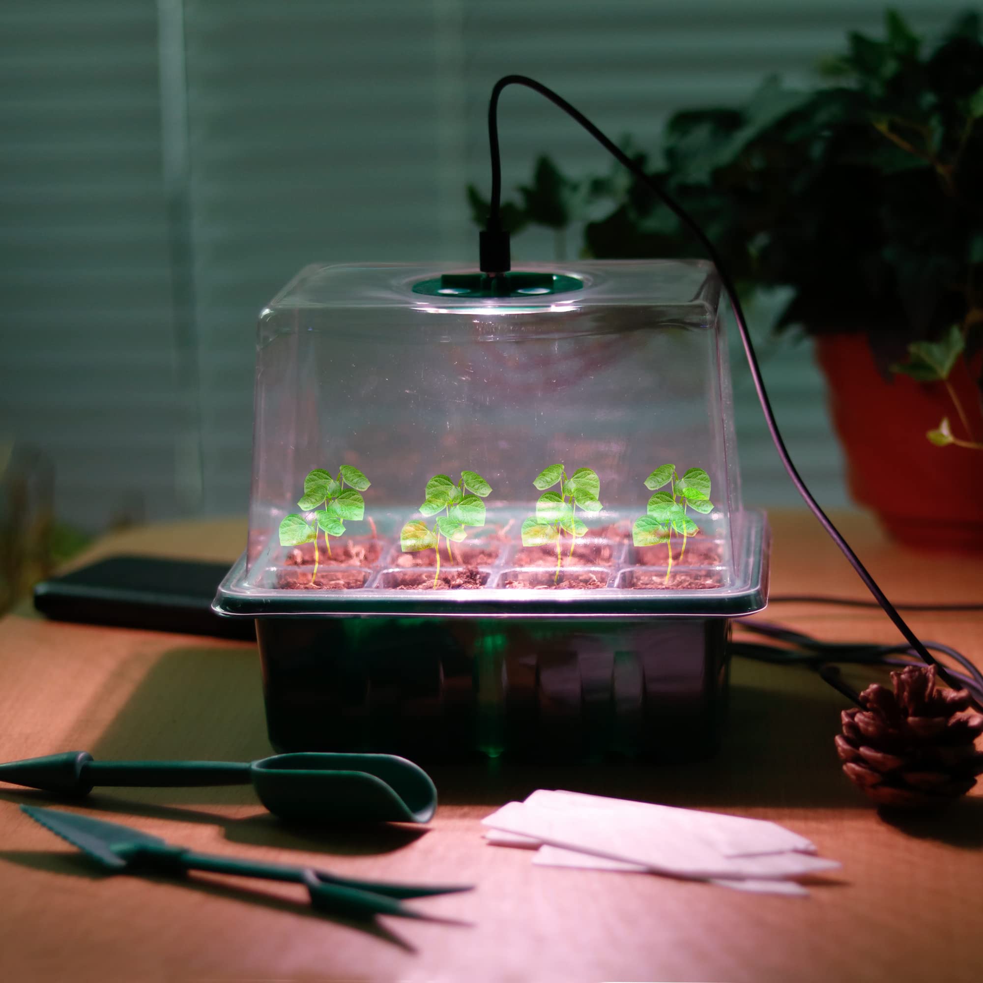 Seed Starter Tray with Grow Light - 12 Cell Plant Germination Kit with Humidity Dome & Base for Hydroponic Wheatgrass, Microgreens & Indoor Gardening | Perfect for Greenhouse, Home Growers & Classroom Projects