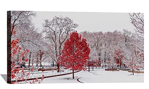Red Winter Central Park