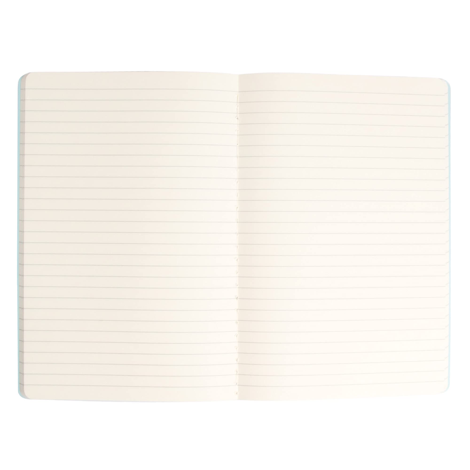 Simply Genius A5 Notebooks - 30 Pack, 5.5