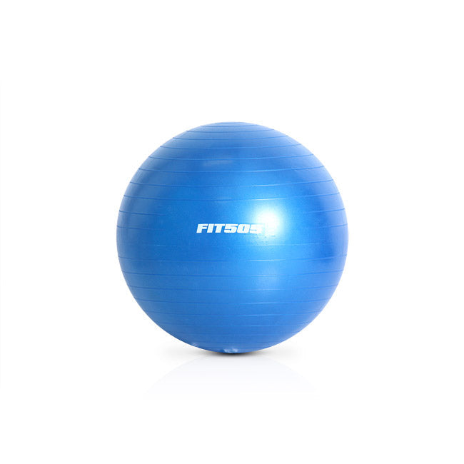 FIT505 Premium Anti-Burst Stability Ball for Home Gym, Yoga, Pilates & Core Workouts - 55cm/65cm/75cm Exercise Ball with Pump for Fitness Training & Physical Therapy