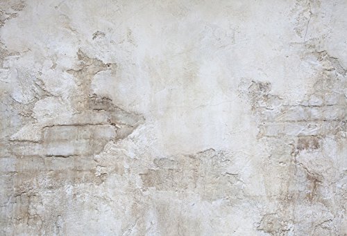 Laeacco 7x5ft Vinyl Photography Backdrop - Stone Wall Texture Studio Background for Professional Photo Shoots, Grunge Antique Rough Wall Retro Architecture (Ideal for Portrait, Fashion, Product Photography)