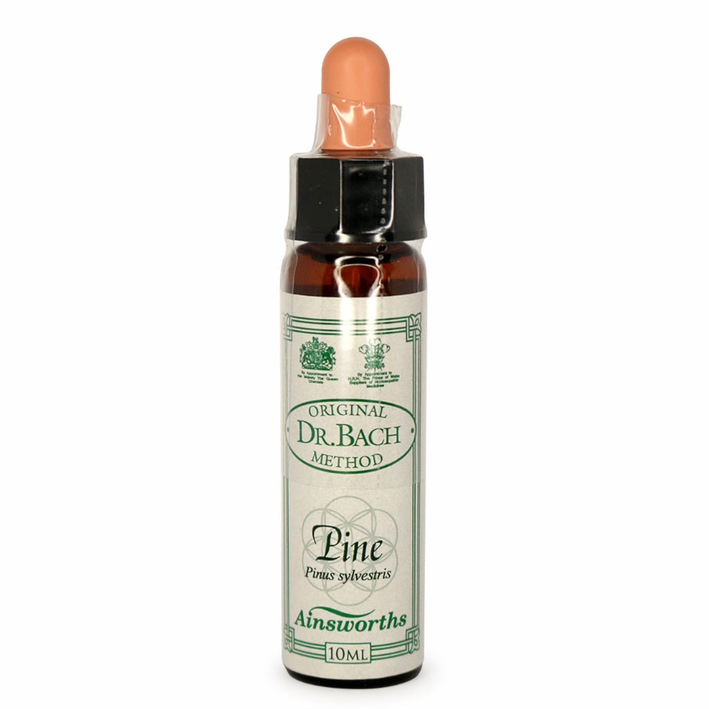 Ainsworths Bach Flower Remedies Pine - Natural Stress Relief & Emotional Balance Drops for Anxiety, Confidence & Focus - Use for Meditation, Work & Daily Wellness