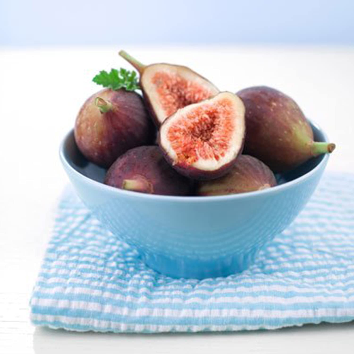 LSU Purple Fig Tree - 2 Gallon Live Fruit Plant for Home Garden | Fresh Figs for Cooking, Baking & Healthy Snacks | No Shipping to AZ, OR