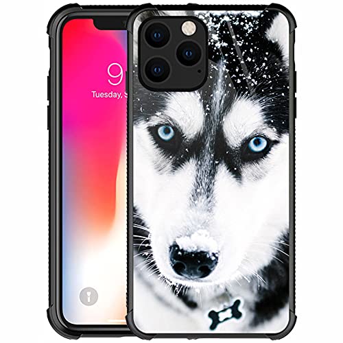 Husky Dog Muzzle Blue Eye