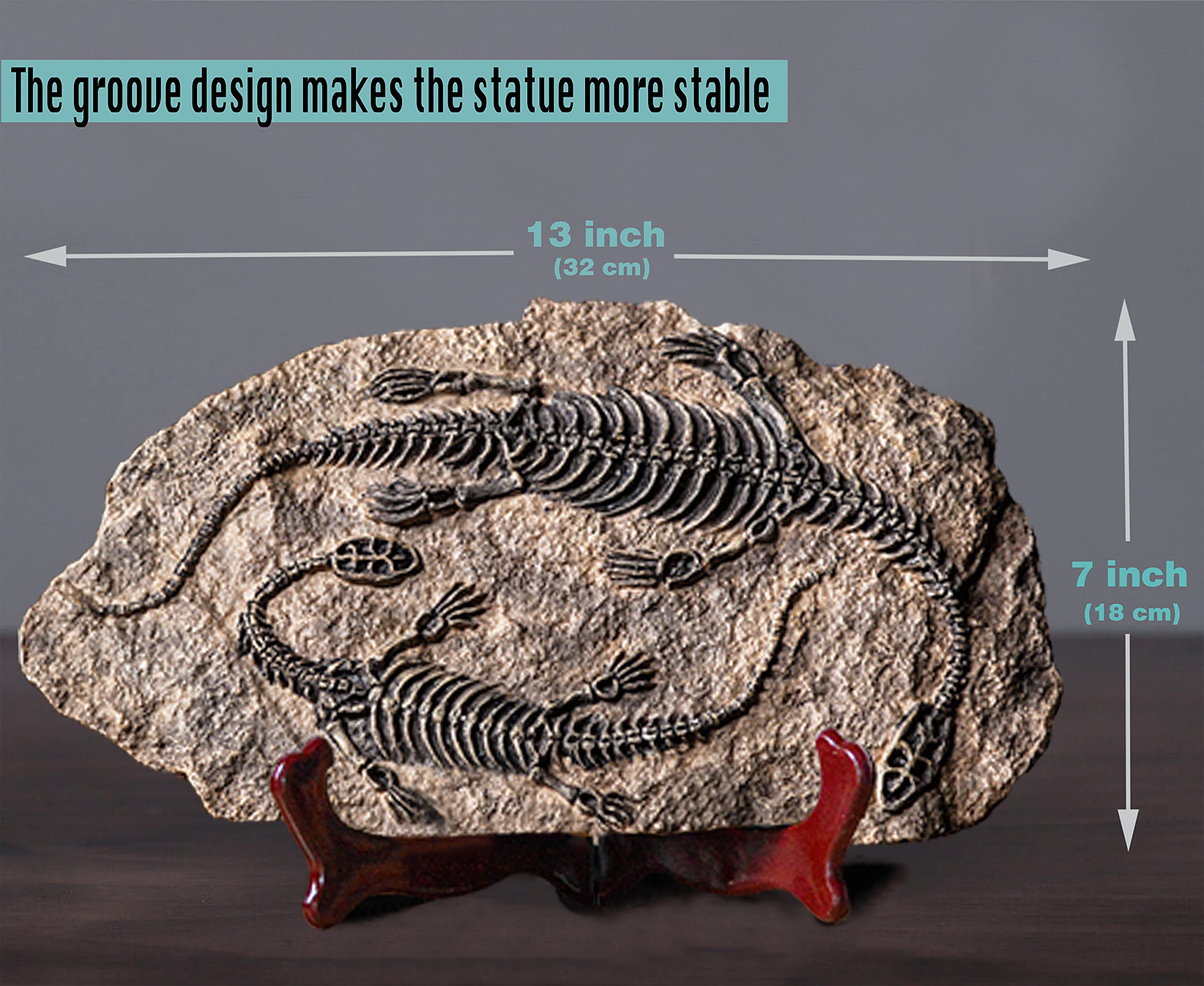 LAGOM HOUSE Plesiosaur Dinosaur Fossil Statue - Realistic Resin Dinosaur Model for Home Decor, Adult Collectibles & Educational Display | Perfect for Jurassic Themed Room, Office Decor, and Paleontology Enthusiasts