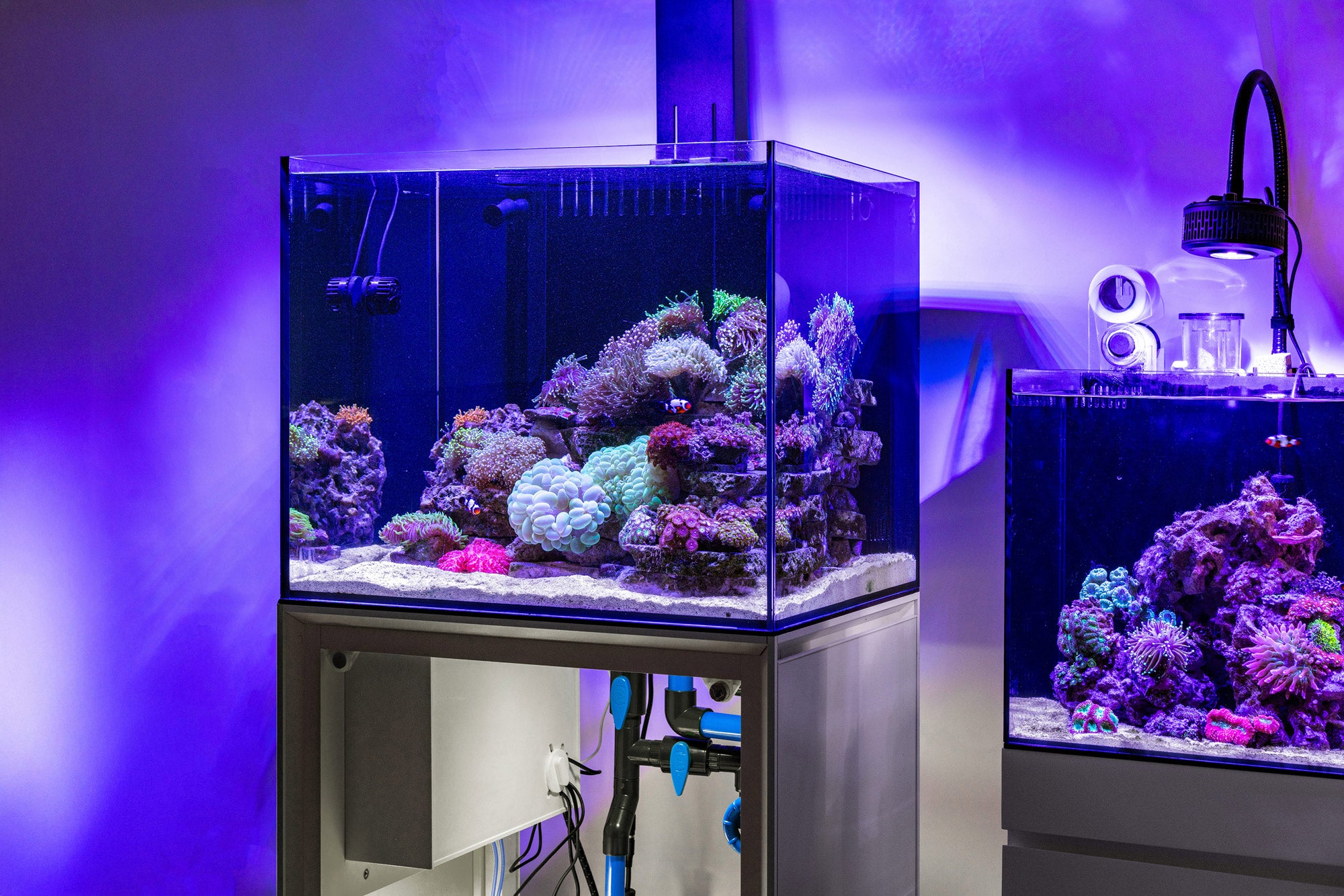 Ultum Nature Systems Reef Aquarium Kit - Premium Saltwater Coral Tank Setup for Marine Life Enthusiasts | Perfect for Home & Office Aquascaping