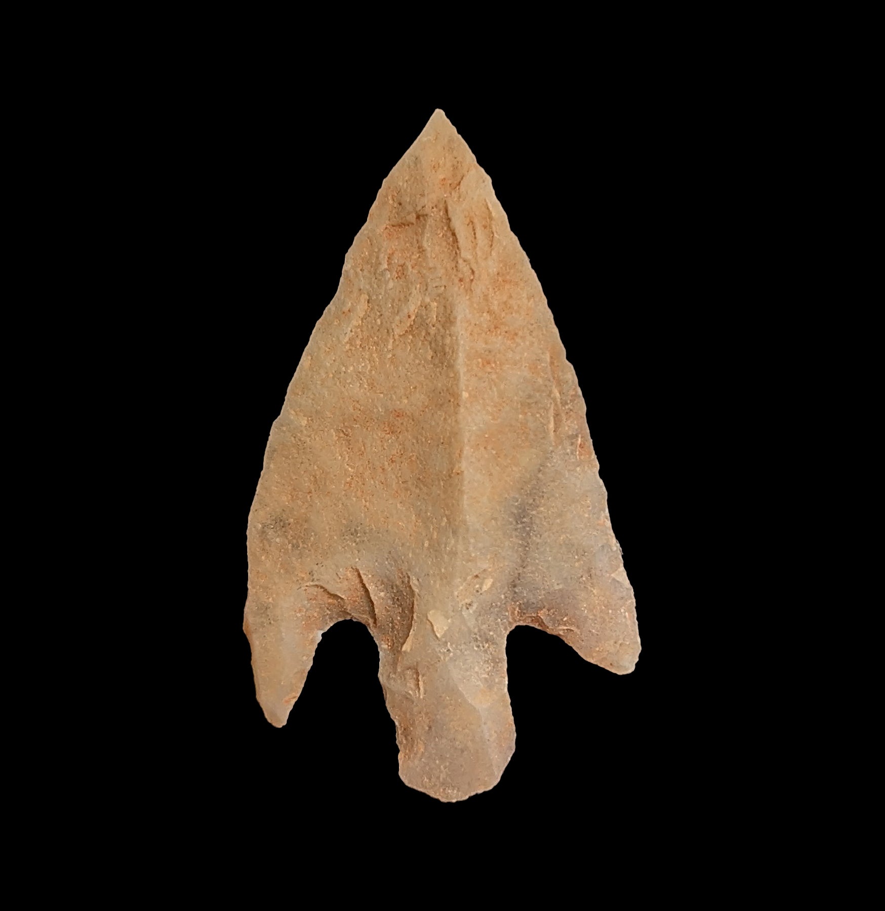 Neolithic Bird Points - Authentic Stone Age Arrowheads for Collectors & Archaeology Enthusiasts | Perfect for Historical Reenactments, Museum Displays & Ancient Weapon Collections