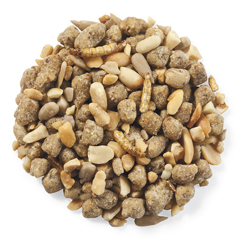 Premium Duncraft Extreme Mealworm Feast - High Protein Wild Bird Food for Cardinals, Bluebirds & Woodpeckers - Perfect for Backyard Bird Feeders & Wildlife Gardens
