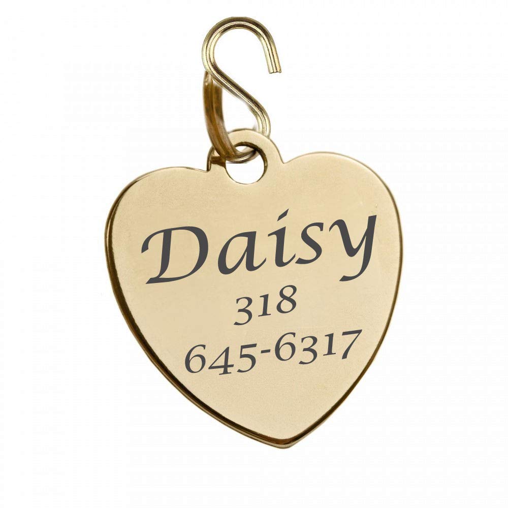 Personalized Engraved Shiny Gold Pet ID Tag for Dogs & Cats - Custom Name & Number - Durable Collar Charm Pendant - Perfect for Daily Walks, Vet Visits & Pet Safety - Ships from USA