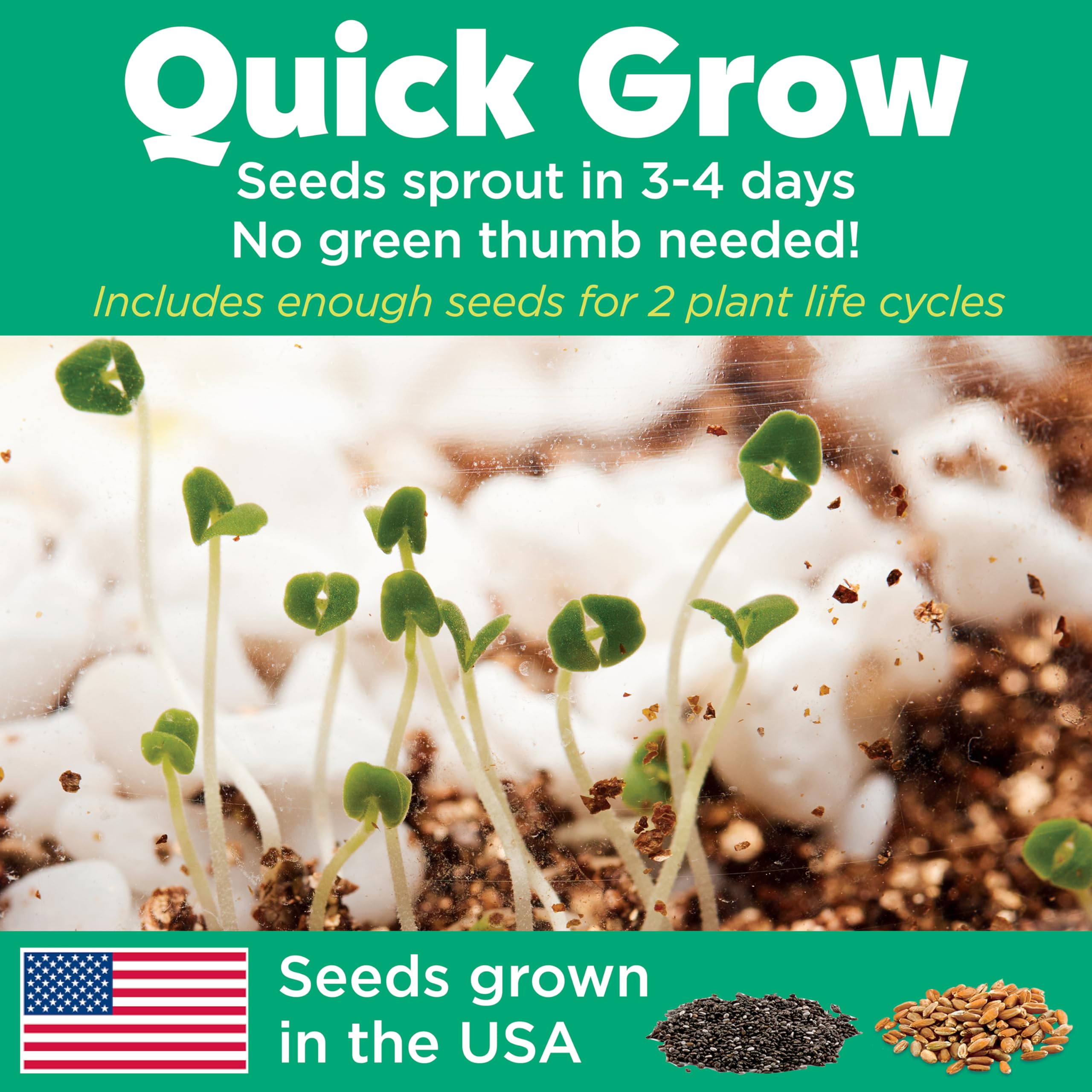 Creativity for Kids Grow 'N Glow Terrarium Kit - Fun Science Activities & STEM Learning Toy for Children Ages 6-12 - Build Your Own Mini Garden with Glow-in-the-Dark Decor - Perfect for Home, Classroom & Birthday Gifts