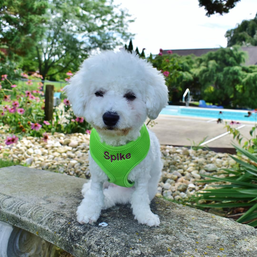 **Personalized Dog Harness with Embroidered Pet Name – Soft Padded Air Mesh No-Pull Adjustable Harness for Small & Medium Dogs – Made in USA (Small, Green) – Perfect for Walks, Training & Outdoor Adventures**