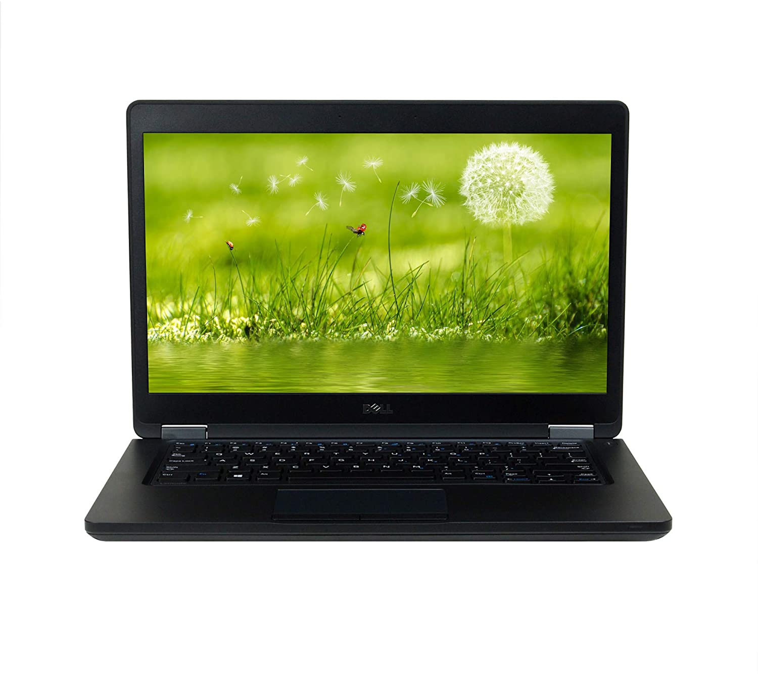 Dell Latitude 5480 14