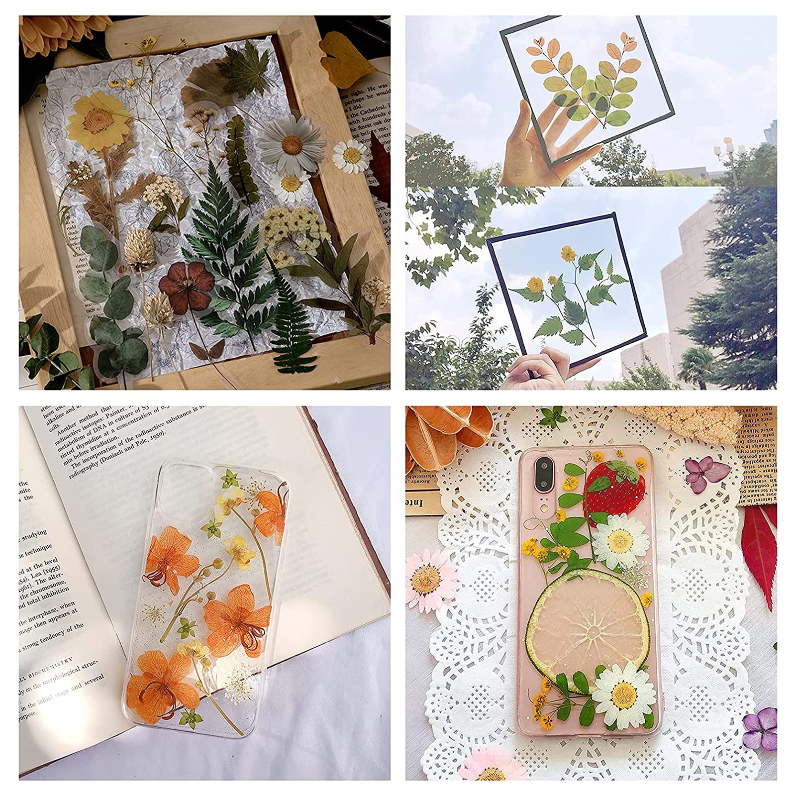 WANDIC Large Wooden Flower Press Kit for DIY Art, Handicrafts & Specimens - Plant Press Book, Leaves Press Kit for Outdoor Learning & Nature Exploration - Perfect for Botanical Art, Scrapbooking & Educational Projects