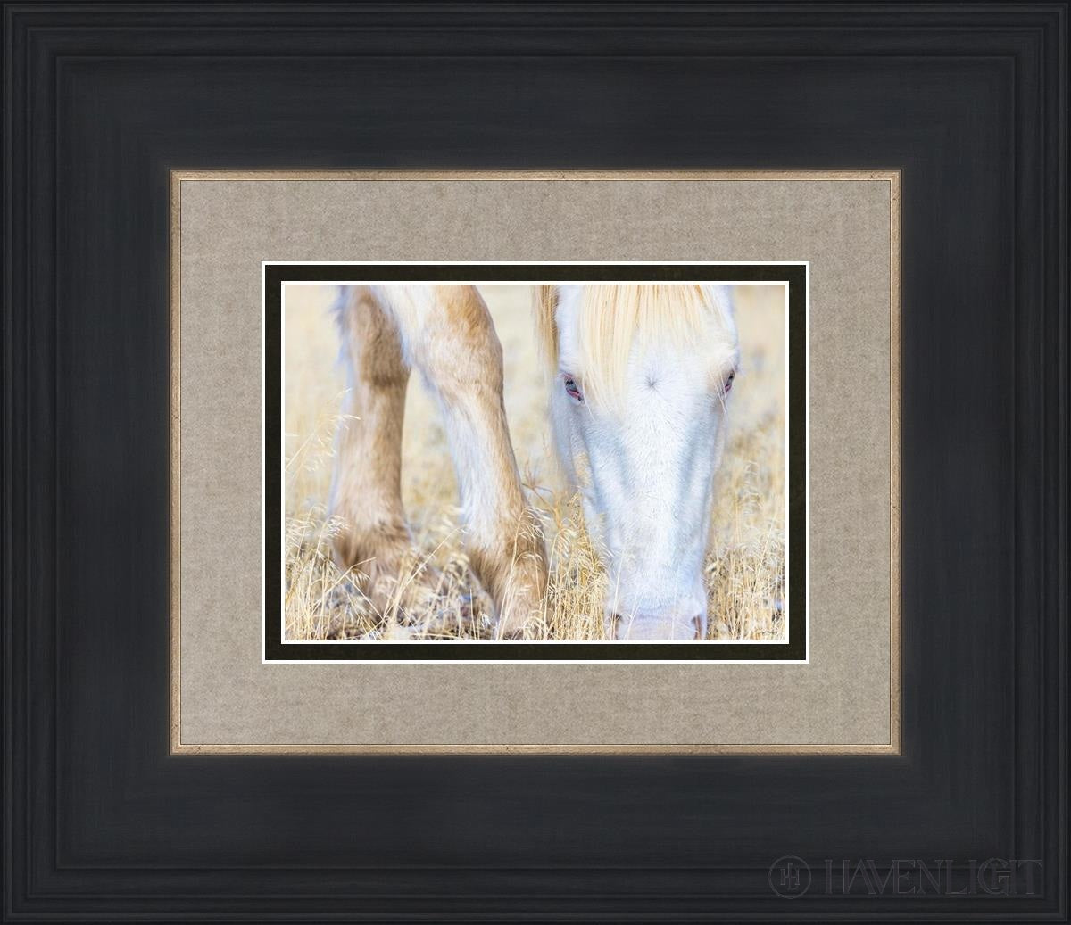 Dry Grass by Greg Sargent - Premium Handcrafted Home Decor for Rustic & Farmhouse Style - Perfect for Wall Art, Shelf Displays & Cozy Living Room Decor