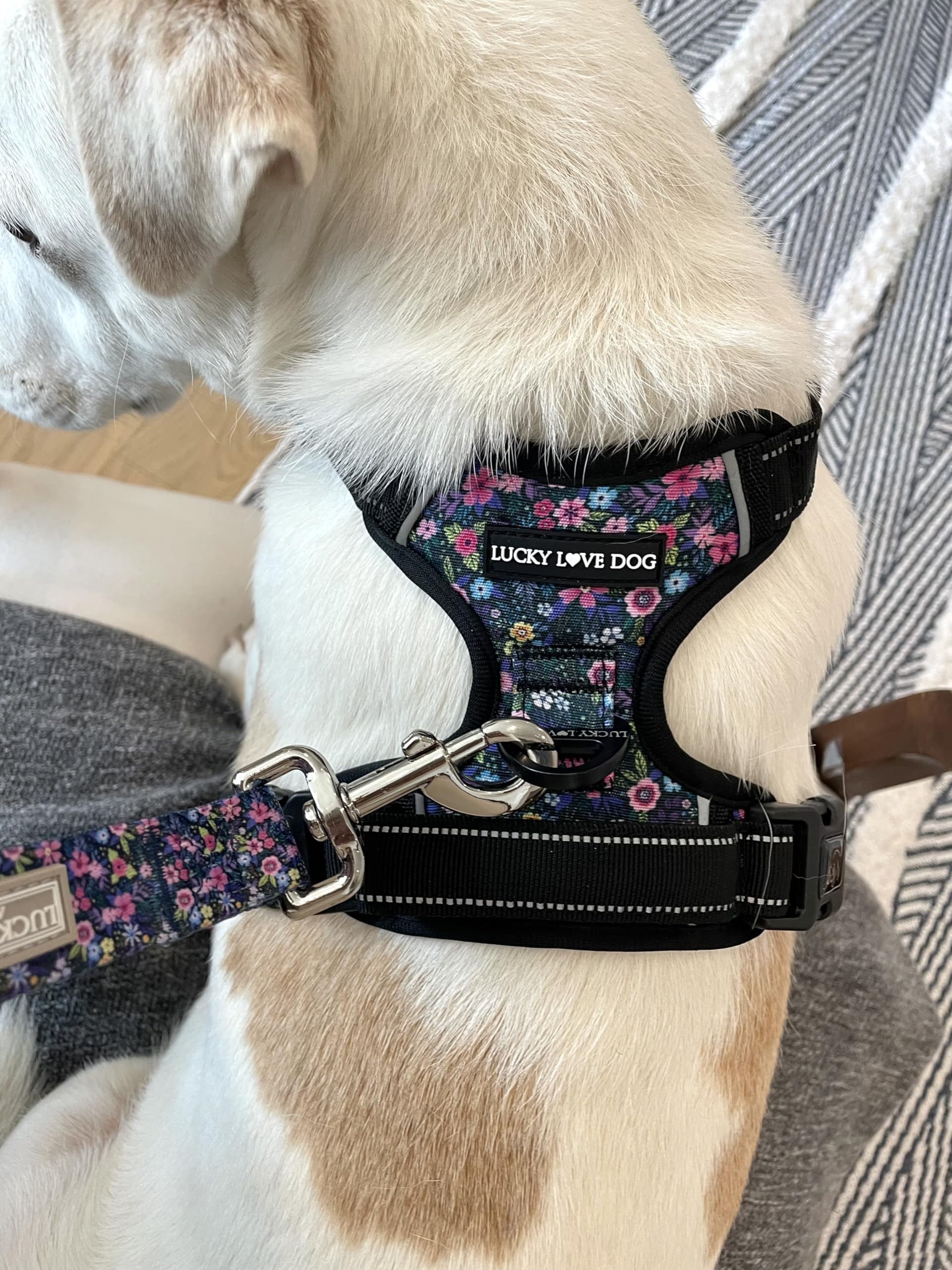 No Pull Dog Harness - Adjustable & Easy Walk Pet Harness for Small Medium Large Dogs - X-Small Primrose Floral Pattern (Black & Purple) - Perfect for Training, Walking & Outdoor Adventures