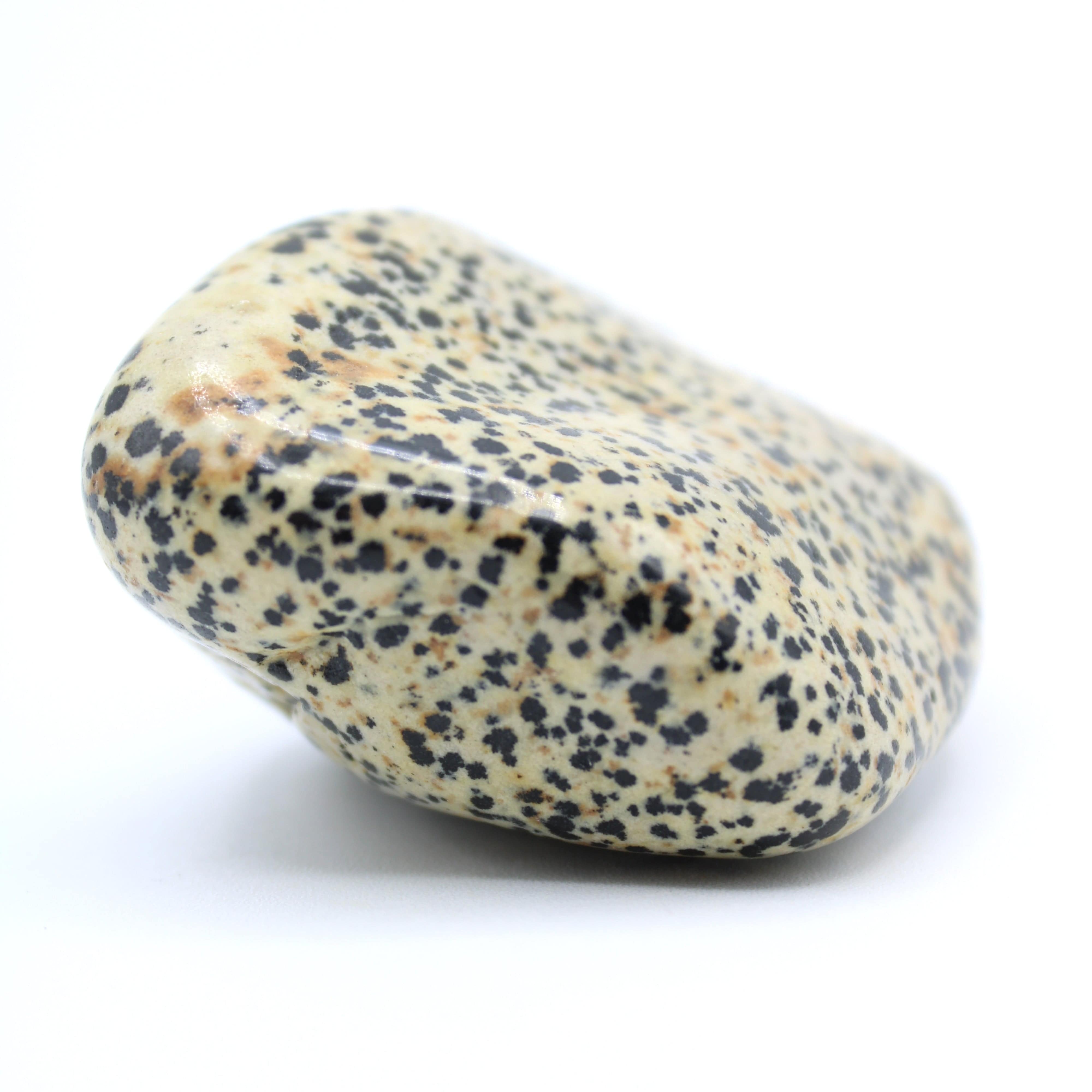 Natural Dalmatian Jasper Free Form Stone - Healing Crystal for Meditation, Yoga & Home Decor | Spiritual Energy & Stress Relief