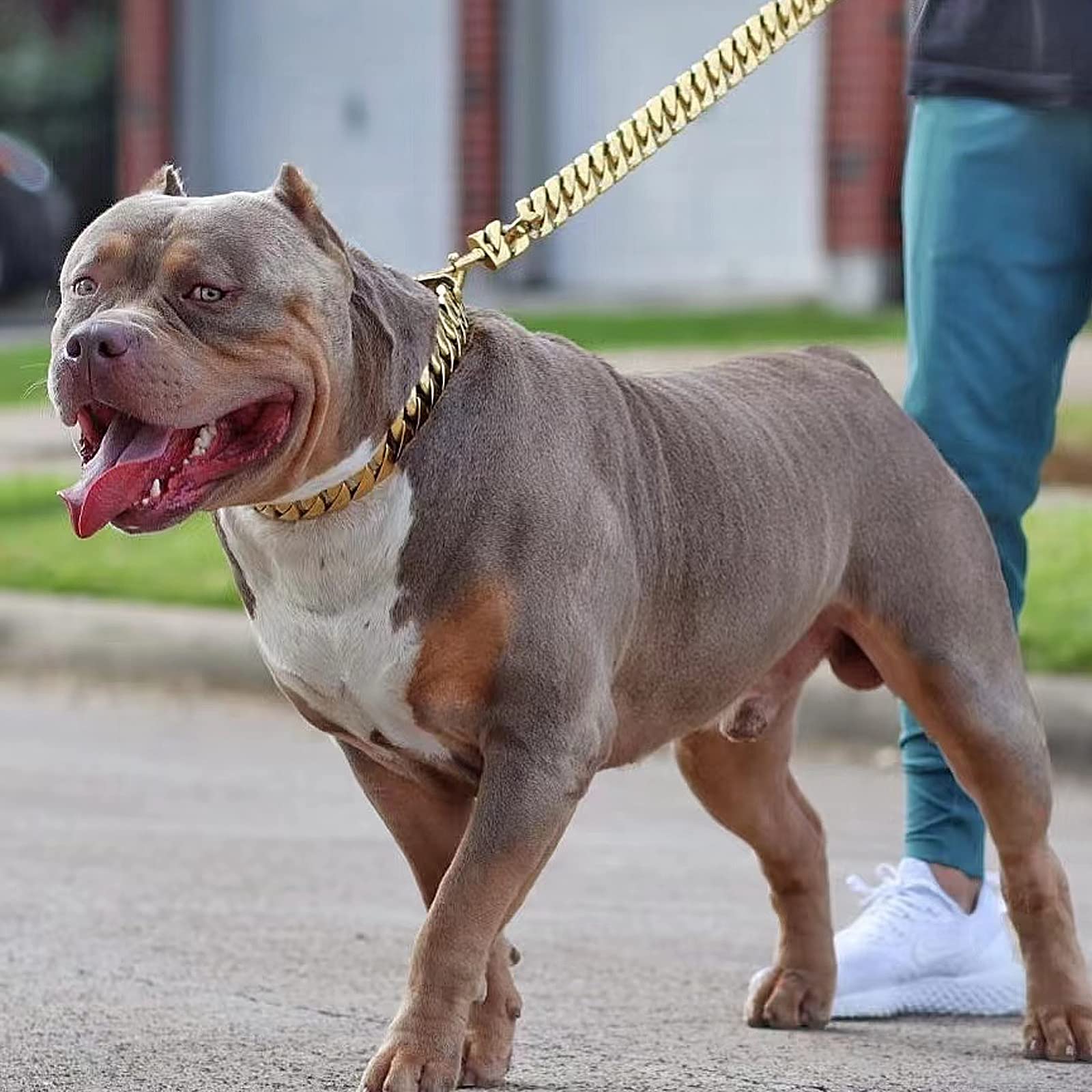 32mm Big Dog Chain Collar with Cuban Link Leash - Heavy Duty Stainless Steel Dog Collar and Leash Set for Large Breeds - Perfect for Training, Walking, and Outdoor Adventures