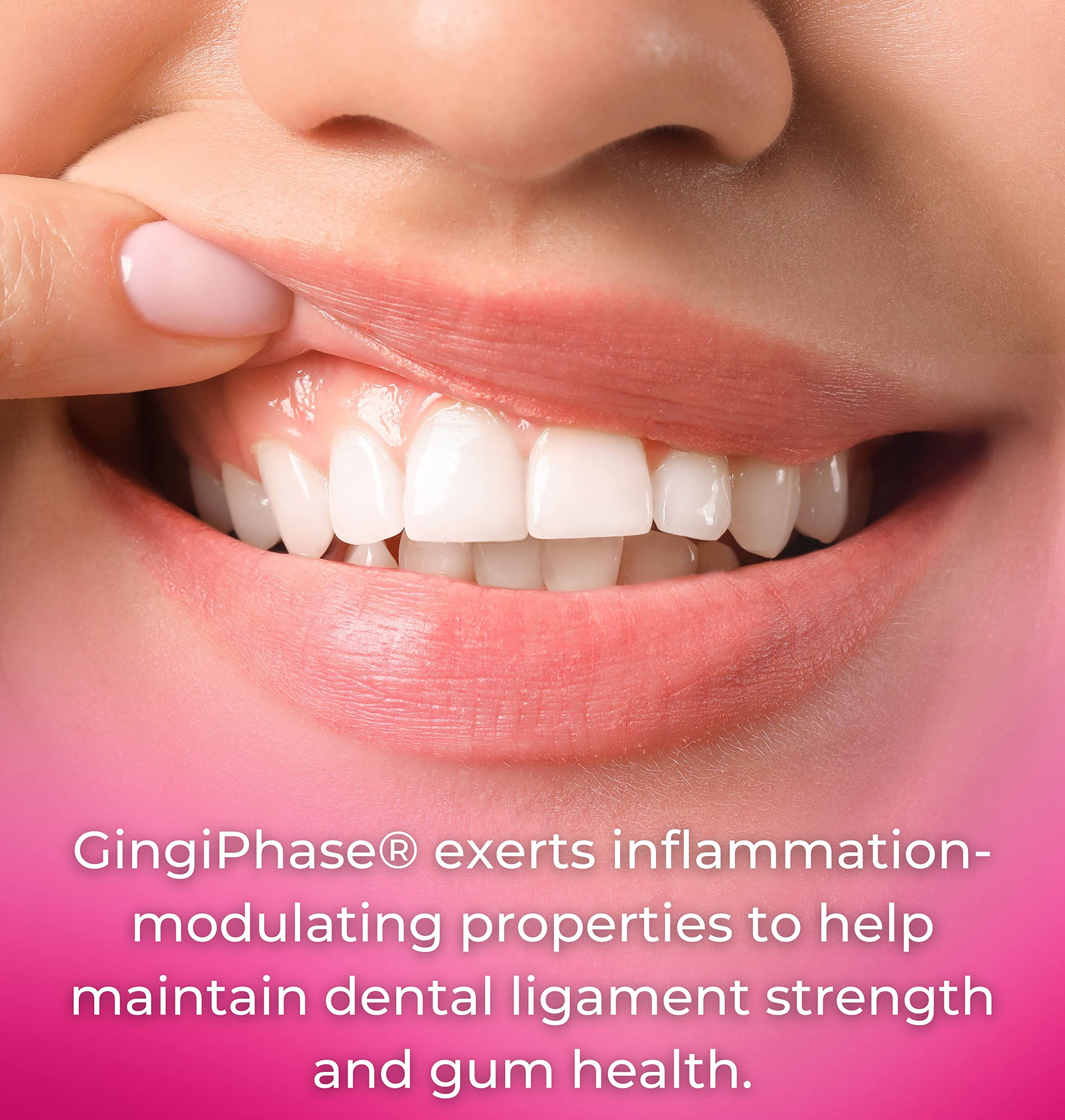 GingiPhase Natural Herbal Dental Support Supplement - Promotes Healthy Gums, Strong Teeth & Improved Jaw Circulation (120 Capsules) | Oral Care for Adults, Gum Health Maintenance & Teeth Protection